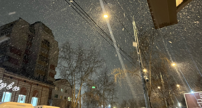 Осадки в виде мокрого снега придут в регион: прогноз погоды в Воронежской области на 2 декабря
