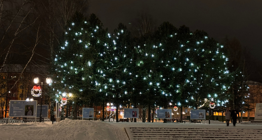 Администрация Лискинского района приглашает к участию в конкурсе на лучшую организацию новогоднего оформления