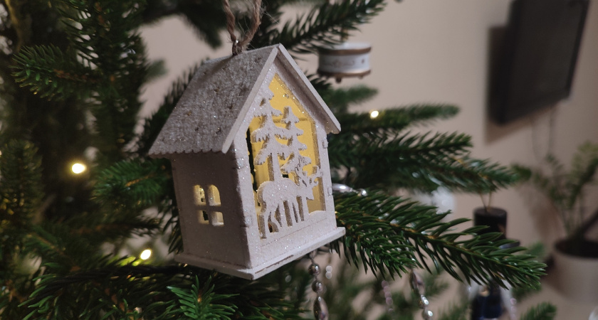 В новогоднюю ночь на площади Ленина в Воронеже покажут обращение Президента 