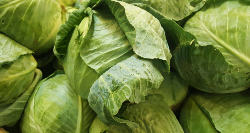 Буду готовить, пока не закончится капуста. Самый ленивый рецепт, а получается очень вкусно