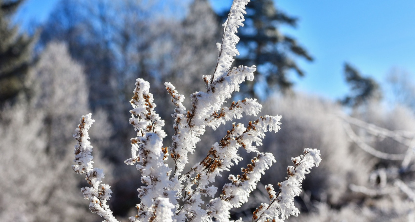 Январские морозы скуют Центральную Россию раньше срока: Роман Вильфанд назвал точные даты