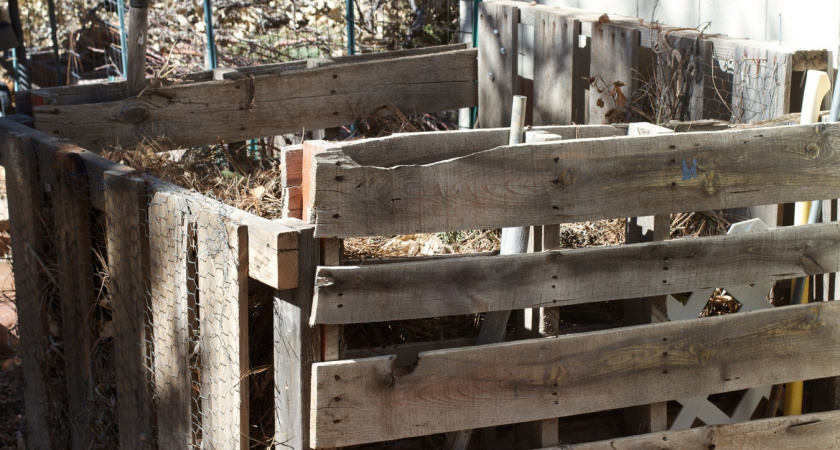 За зиму перегниют и толстые ветки, и ботва: как я ускоряю компост - на заметку каждому дачнику