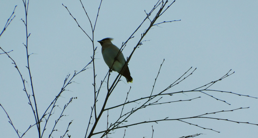 В Воронежской области ожидается стабильная погода с небольшими перепадами температуры