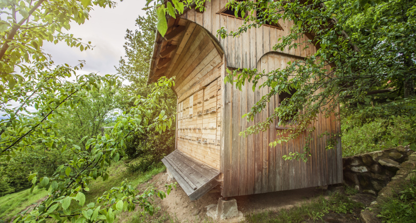 Дачный туалет теперь не воняет. Заливаю доступное всем средство 1 раз в полгода - и все, красота