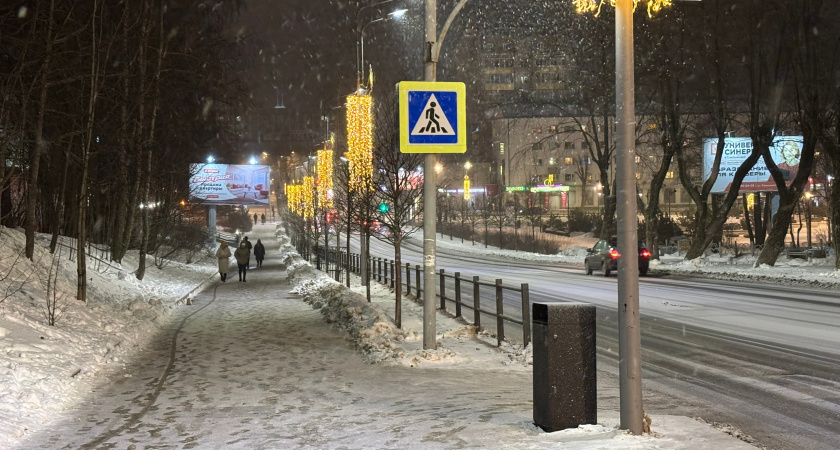 Воронежец в центре города сорвал новогоднее украшение с фасада здания и скрылся