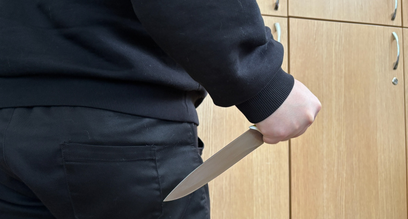 Жителя Воронежской области оштрафовали за попытку пронести нож в суд