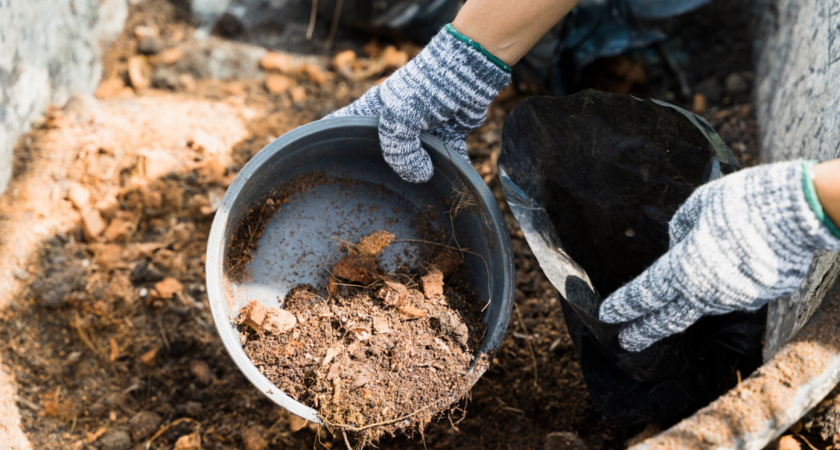 Сосед посмеётся сегодня, а весной будет завидовать: почему в зиму нельзя просто бросить компост и уйти