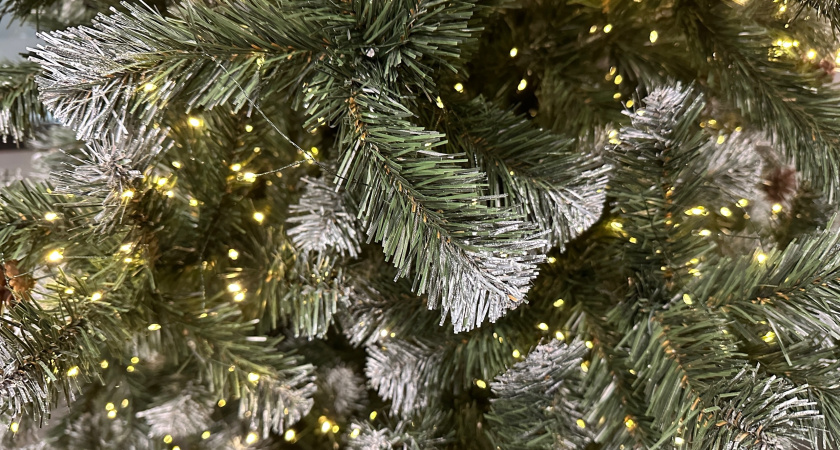 Что сделать, чтобы новогодняя елка дольше стояла и не сыпалась? Биолог назвал 6 лайфхаков