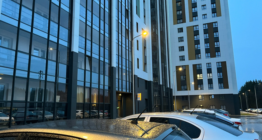 В Воронеже неизвестный пугает детей приглашением сесть в машину