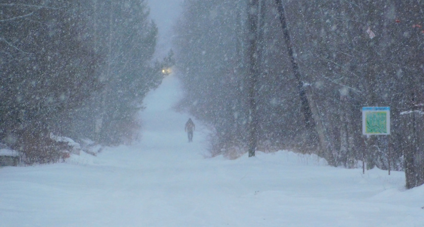 В Воронежской области в воскресенье установится морозная и ветреная погода