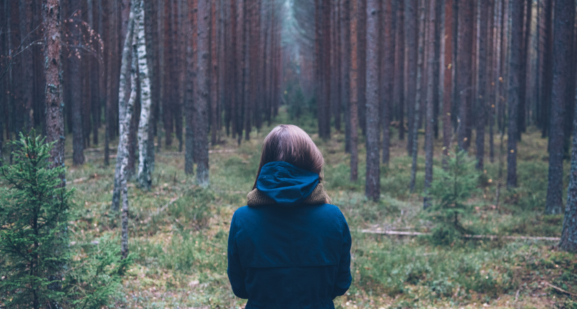 Мой дед-охотник сказал мне: "Если лес внезапно замолчал — уходи. У тебя всего 7 минут". И вот почему