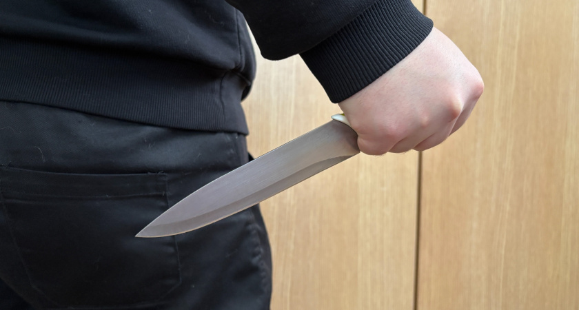 Пенсионерка из Воронежа получит срок за попытку расправы над родной племянницей