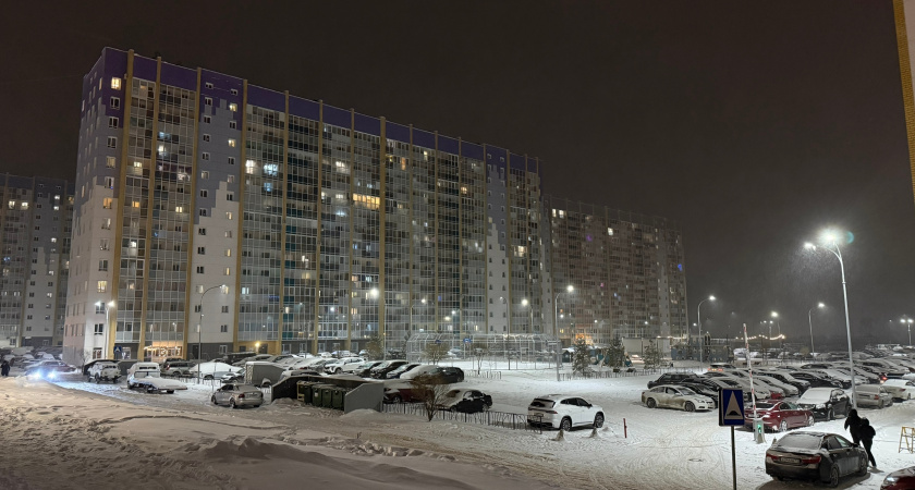 Воронежская область встретит 21 декабря облачной погодой и небольшим снегом