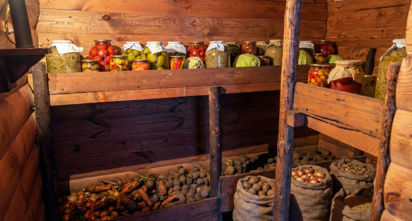 Сырость в погребе? Один ящик спасет ваши запасы - делюсь методом