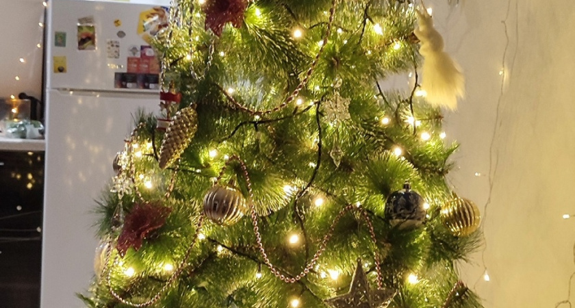 Лискинские журналисты запустили новогоднюю акцию 