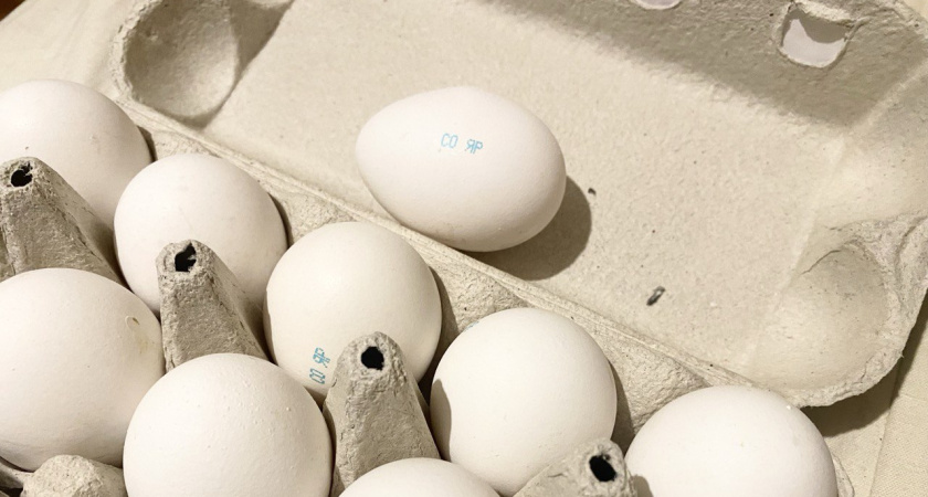 Обходят за версту: почему работники магазинов и птицефабрик не берут себе яйца категории С0 - и даром не надо