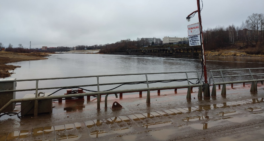 В Лискинском районе через Дон построят новый понтонный мост для круглосуточного проезда