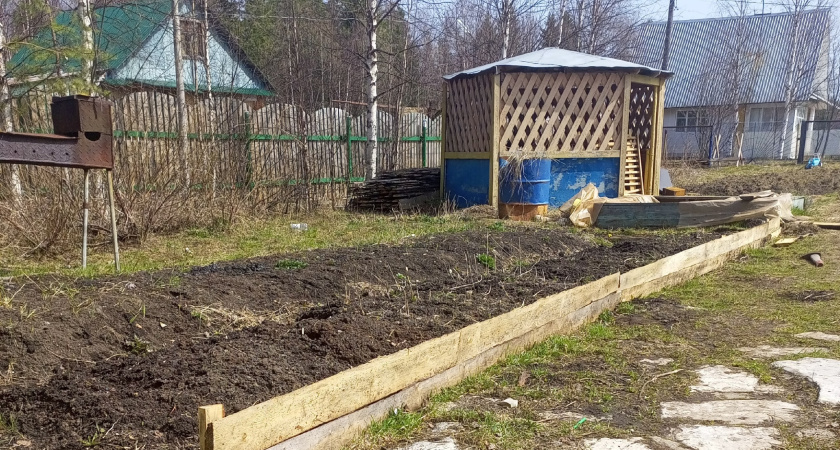 Каким будет лето 2026 после аномальной зимы: синоптики предупредили, чего ждать садоводам