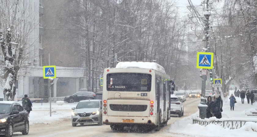 В Воронежской области возбудили уголовное дело после конфликта водителя автобуса со школьником