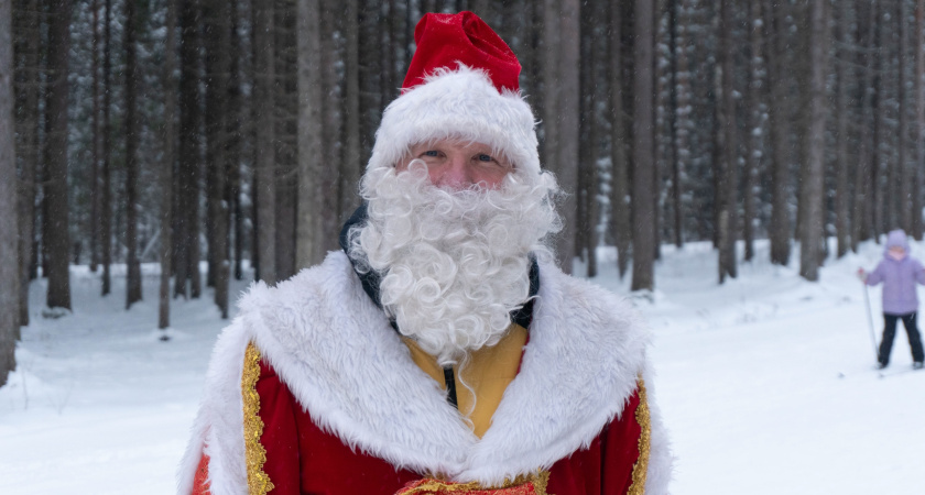 В Воронежской области более 200 Дедов Морозов прошли праздничным шествием по центру столицы