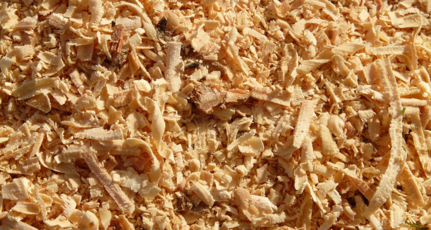 Не кирпич, не пенобетон - и в 100 раз теплее: как построить дом "Термос" из опилок