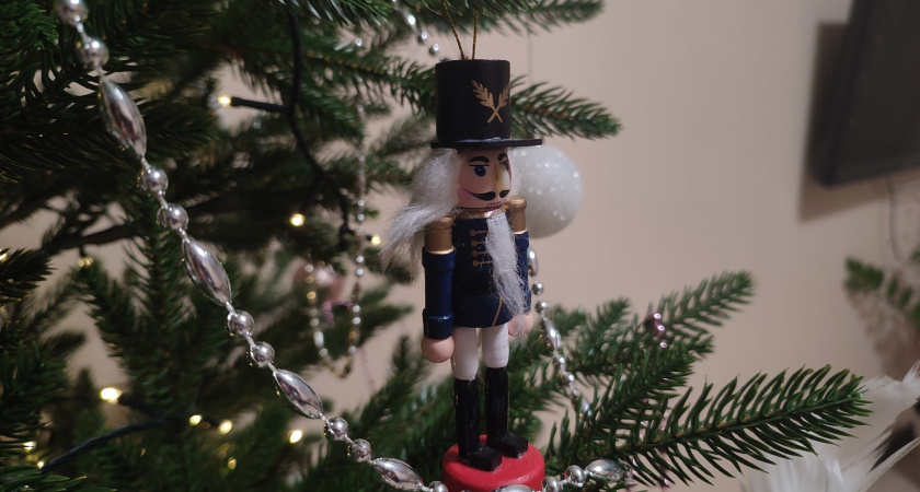 Алексей Гордеев поздравил жителей Воронежской области с Новым 2026 годом и Рождеством