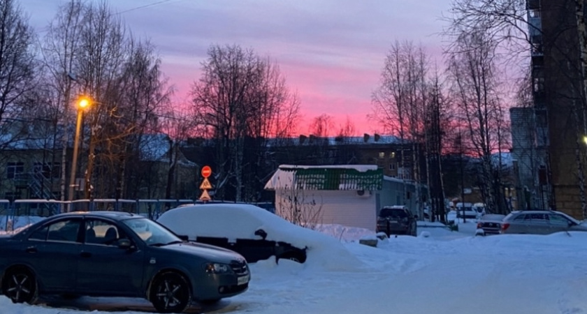 Синоптики рассказали, с какой погоды начнется год в Воронежской области