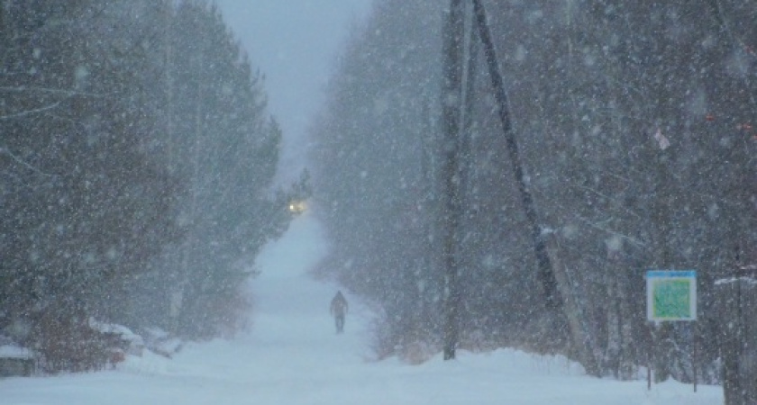 Штормовой ветер и снег: в Воронежской области объявлено погодное предупреждение
