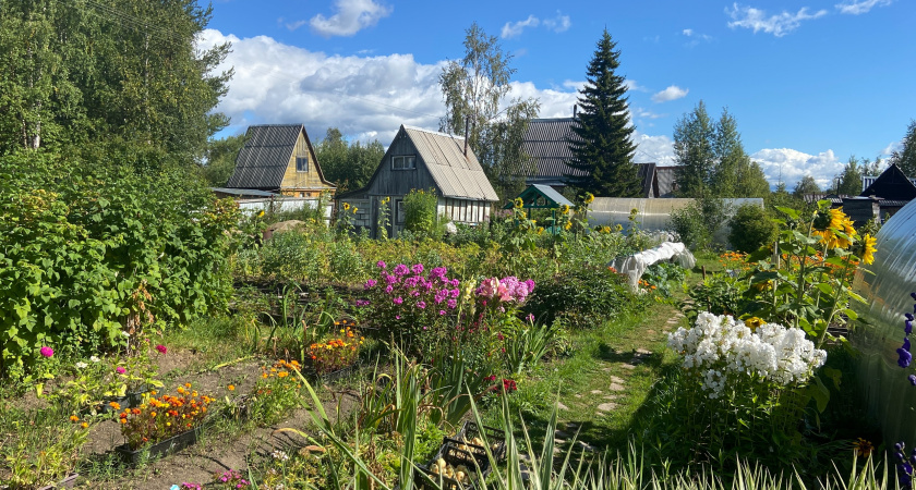Цветник без прополки и беготни с лейкой: приёмы, которые освобождают от вечной суеты на участке