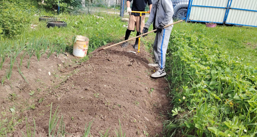 Переехали в деревню и только через год поняли, почему здесь больше не живут сельским хозяйством - причина всегда была под носом