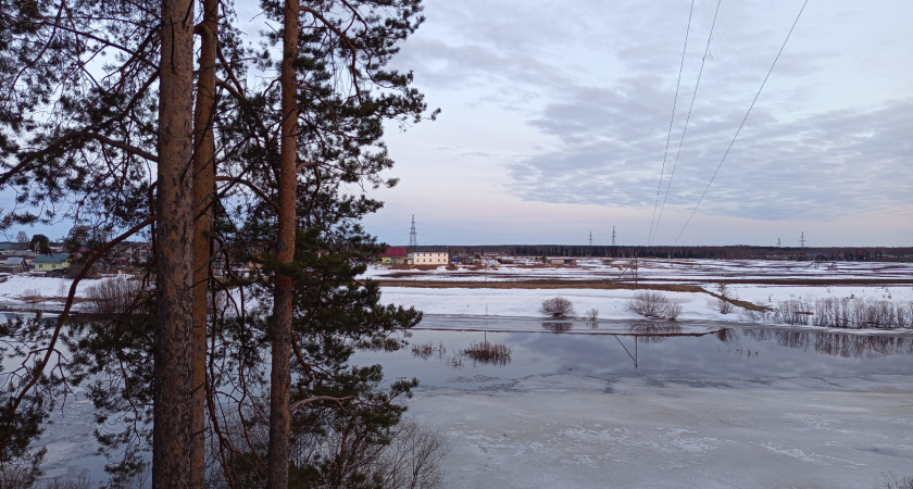 В Воронежской области новогодние каникулы омрачила гибель детей на льду водоема