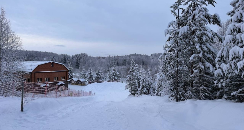 Такой весны на нашем веку еще не было: синоптики озвучили даты прихода аномальной жары