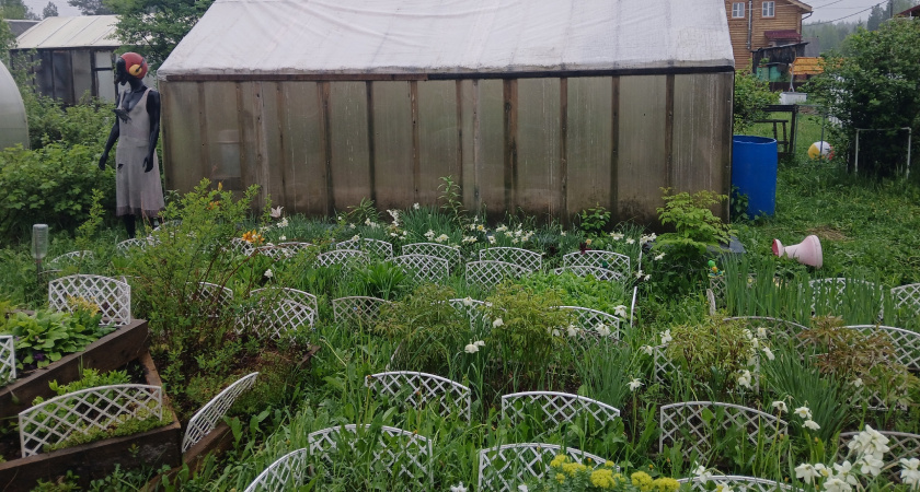 План «Б» для хозяина дома: что делать, если в преклонном возрасте не справляться с хозяйством