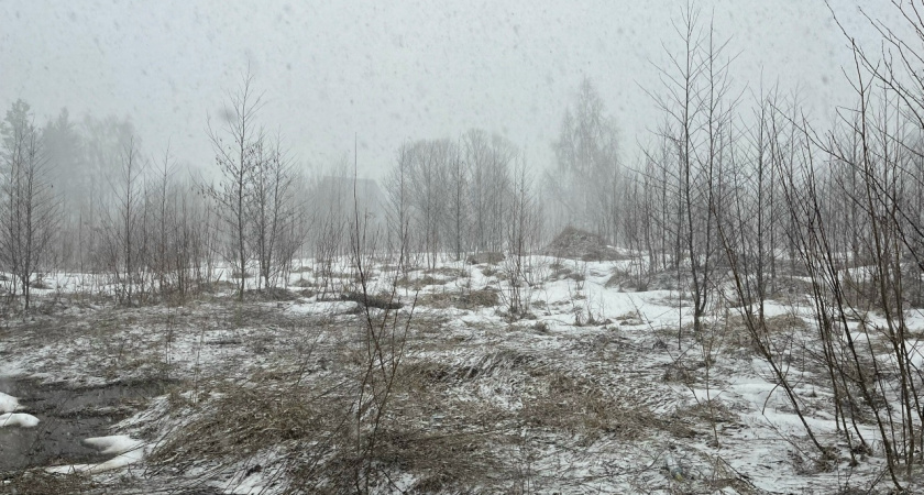 В Воронежской области ввели штормовое предупреждение из-за сильного ветра