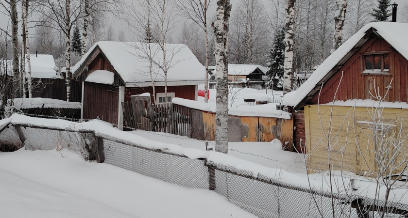 Как утеплить сарай за копейки и забыть о морозах: этот упаковочный материал сохранит тепло даже при -40