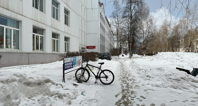 В Лисках в праздничные дни прошёл новогодний велопробег с костюмами и угощениями