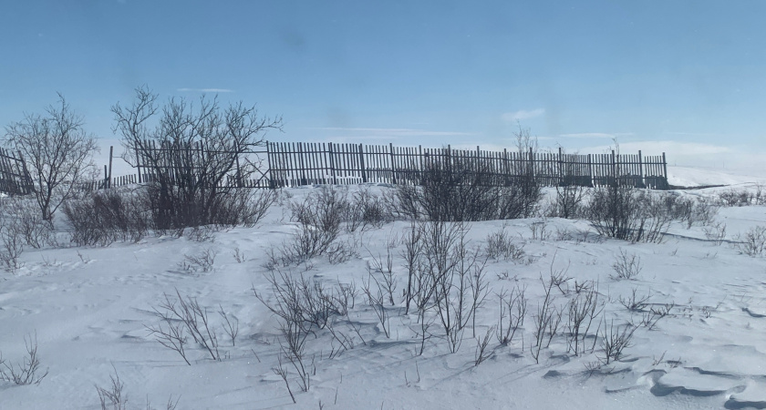 «15 января начнется то, чего не было с 1941 года». Синоптики сказали, к чему готовиться