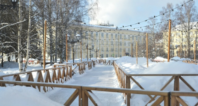 В регионе сохранится морозная погода: прогноз в Воронежской области на 14 января