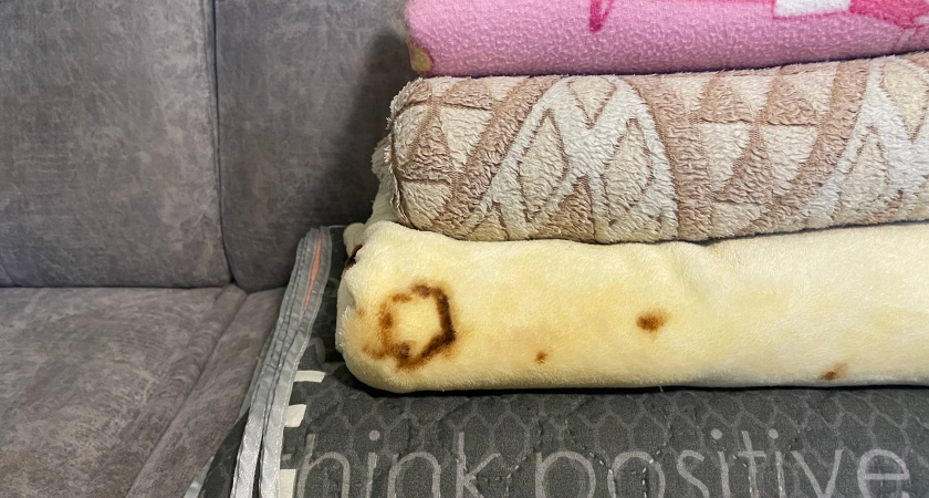 Дубовые полотенца станут нежнее молочной пенки: всего одна ложка на литр воды - словно из магазина