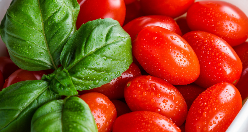 Меня трудно уже удивить сортами помидоров, но эти 2 сорта вне конкуренции - беру в новый сезон