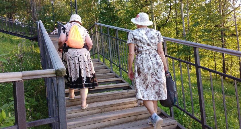 В чём смысл жизни в старости: 6 древних пословиц, которые обязательны к прочтению всем тем, кому за 50