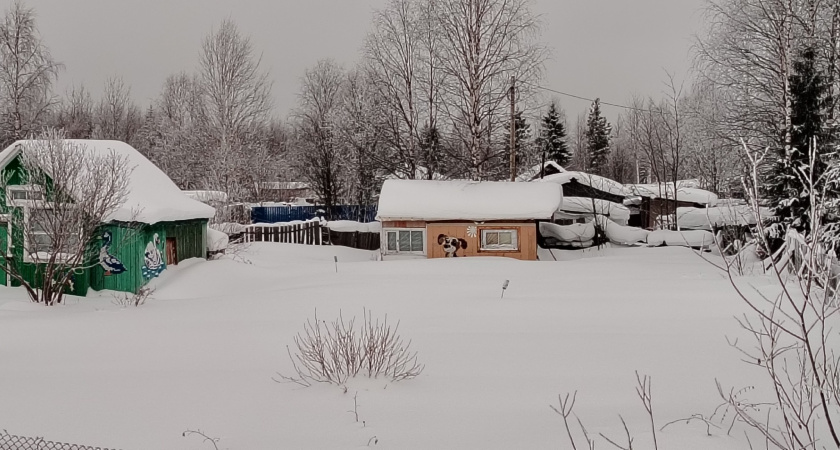 Минвата и пенопласт отдыхают: старинный способ утепления, который работает до сих пор