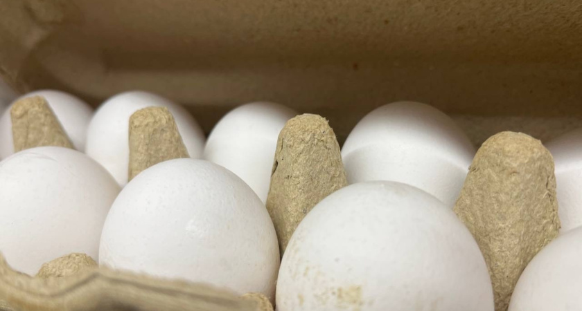 Воронежская область показали высокие результаты АПК по итогам 2025 года