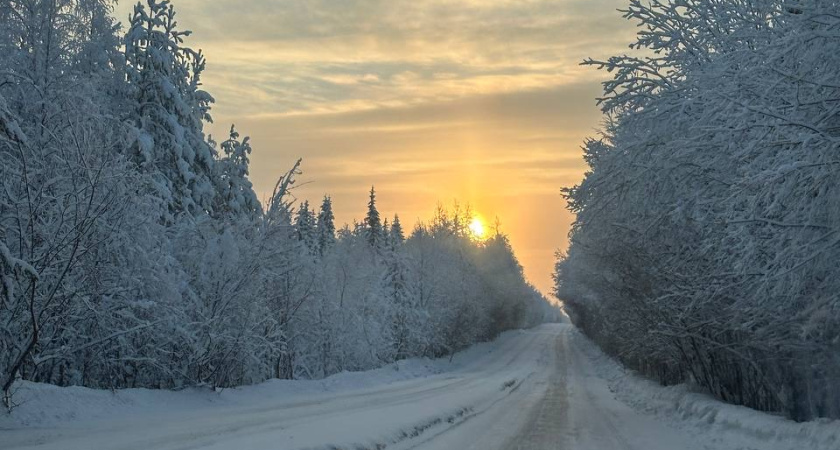 Умеренные морозы охватят регион: прогноз погоды в Воронежской области на 20 января