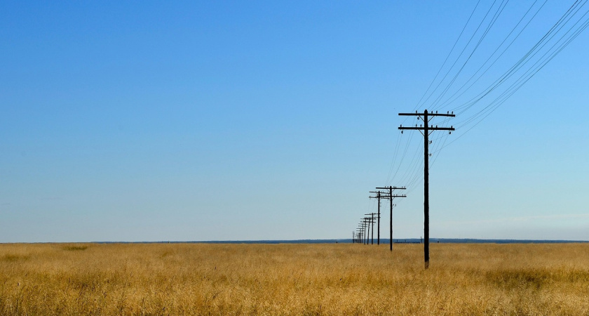 В Лискинском районе начали проверку семян яровых культур