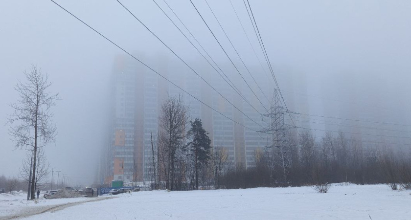 Переходящий в снег туман окутает регион: прогноз погоды в Воронежской области на 22 января