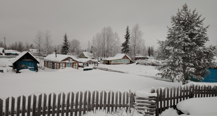 Переехали жить в деревню и только через год поняли, почему в деревнях больше не живут сельским хозяйством - причина всегда была на виду