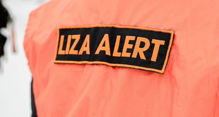 В Воронежской области за неделю волонтеры нашли живыми большинство пропавших людей