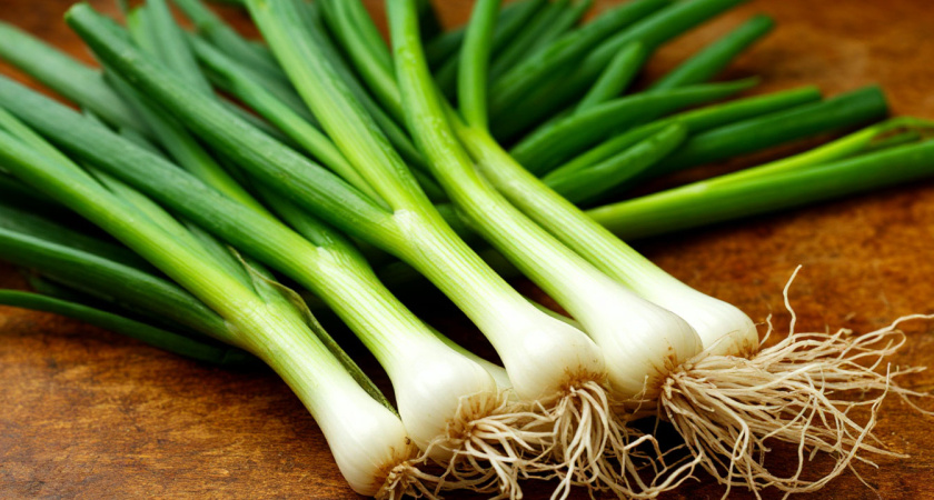 Получаю зеленый лук за 6 дней дома: 2 способа вырастить зелень без химии - сочные перья лезут всю зиму без остановки