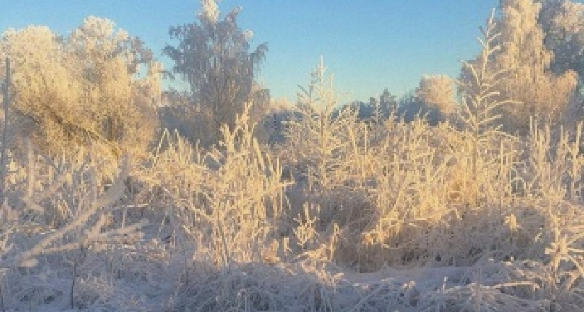 Крепкие морозы задержатся в регионе: прогноз погоды в Воронежской области на 26 января